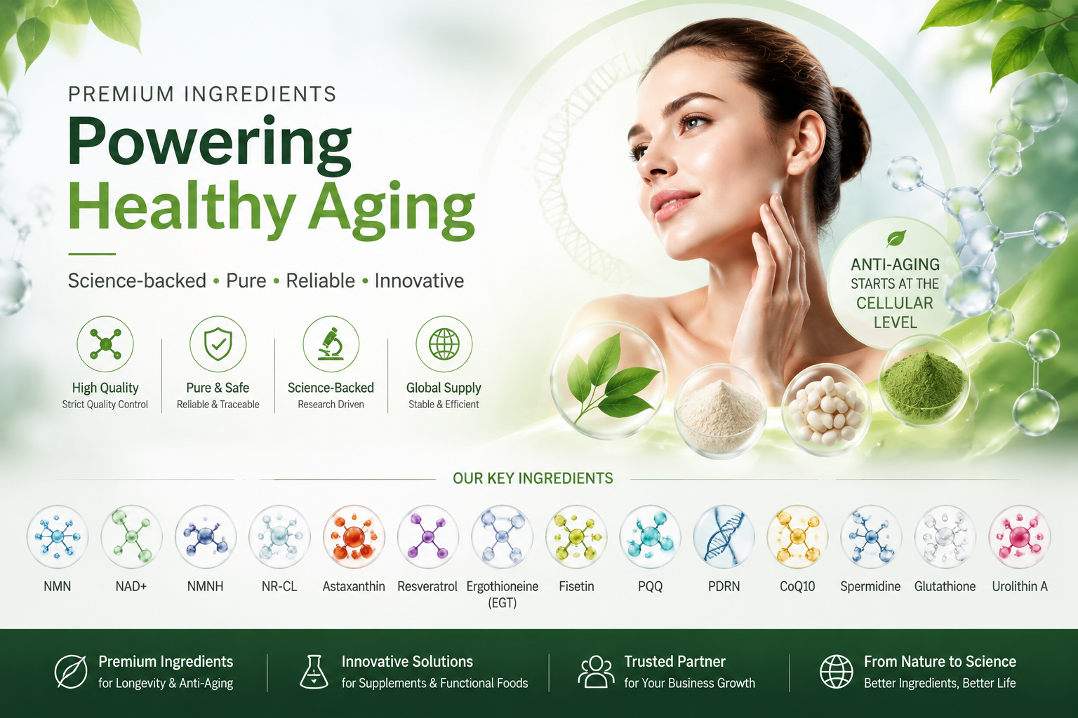 HanvaBio key longevity ingredients