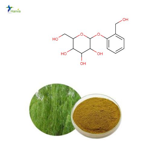 White Willow Bark Extract